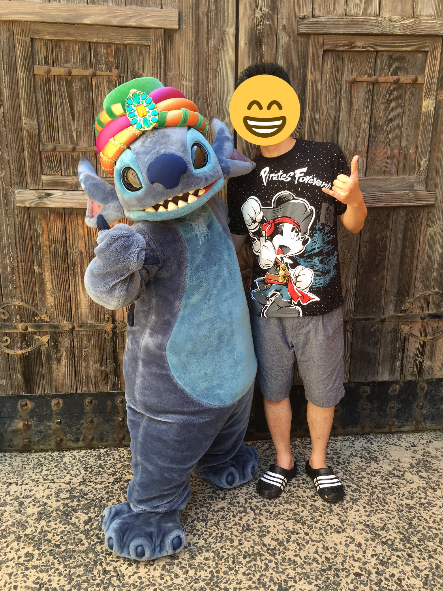 アロハステッチ スティッチ すだれ M-1223(STITCH/Aloha botanica