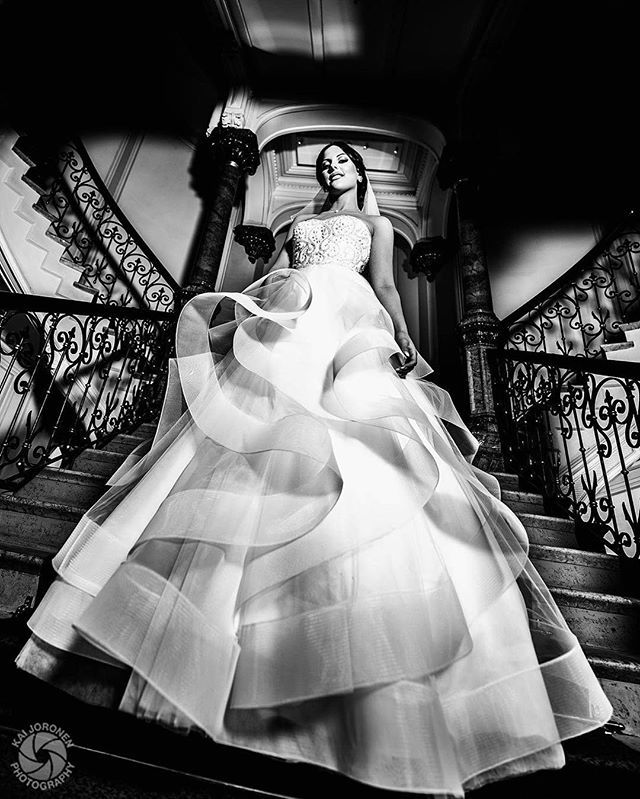KaiJoronen's tweet photo. These kind of #photos are very #rare shot by me! #amazing #bride @saharlarbii shot on #weddingday #weddingdress #blackandwhite #bwphotography #bridalphotography #weddingphotography #weddingphoto @kai_joronen_photography https://t.co/mHNzIp4s9b https://t.co/MMmzKyZZih