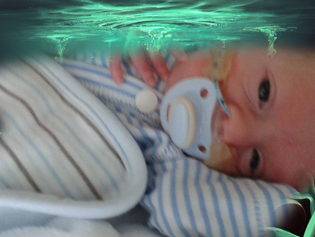 Rubyweb_IT's tweet image. Without A Shadow Of Doubt, is an honest and heartfelt account of Harry’s journey, essentially Harry’s story experienced by me and witnessed through my eyes. It outlines with candour each separate and distinct phase of Harry’s journey.
withoutashadowofdoubt.co.uk