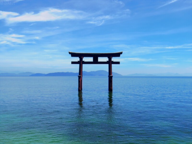 滋賀の白髭神社めちゃめちゃよかった…。湖上の鳥居～～!!!青空～～～!!!琵琶湖の水めっちゃ透明度～～～!!!!!
そして本殿と鳥居を分断している国道の交通量の多さ～!(恐怖) 