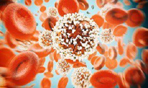 MedicalBriefZA's tweet photo. Most Popular Past Week:
1. The ketogenic diet is no cure for #cancer, despite what the cranks say - @AlastairMcA30.
#digitalclubbing
https://t.co/rAUjrz3f8o https://t.co/Bv7fDCkijE