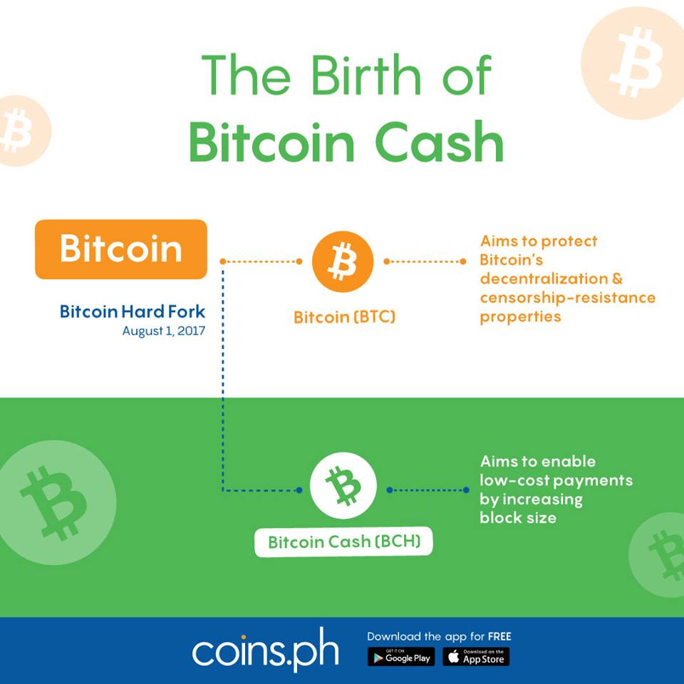 Coins Ph On Twitter It S Been Exactly 1 Year Since Bitcoin Cash - 