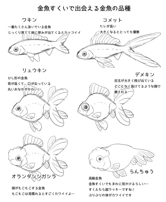 金魚すくいのtwitterイラスト検索結果 古い順