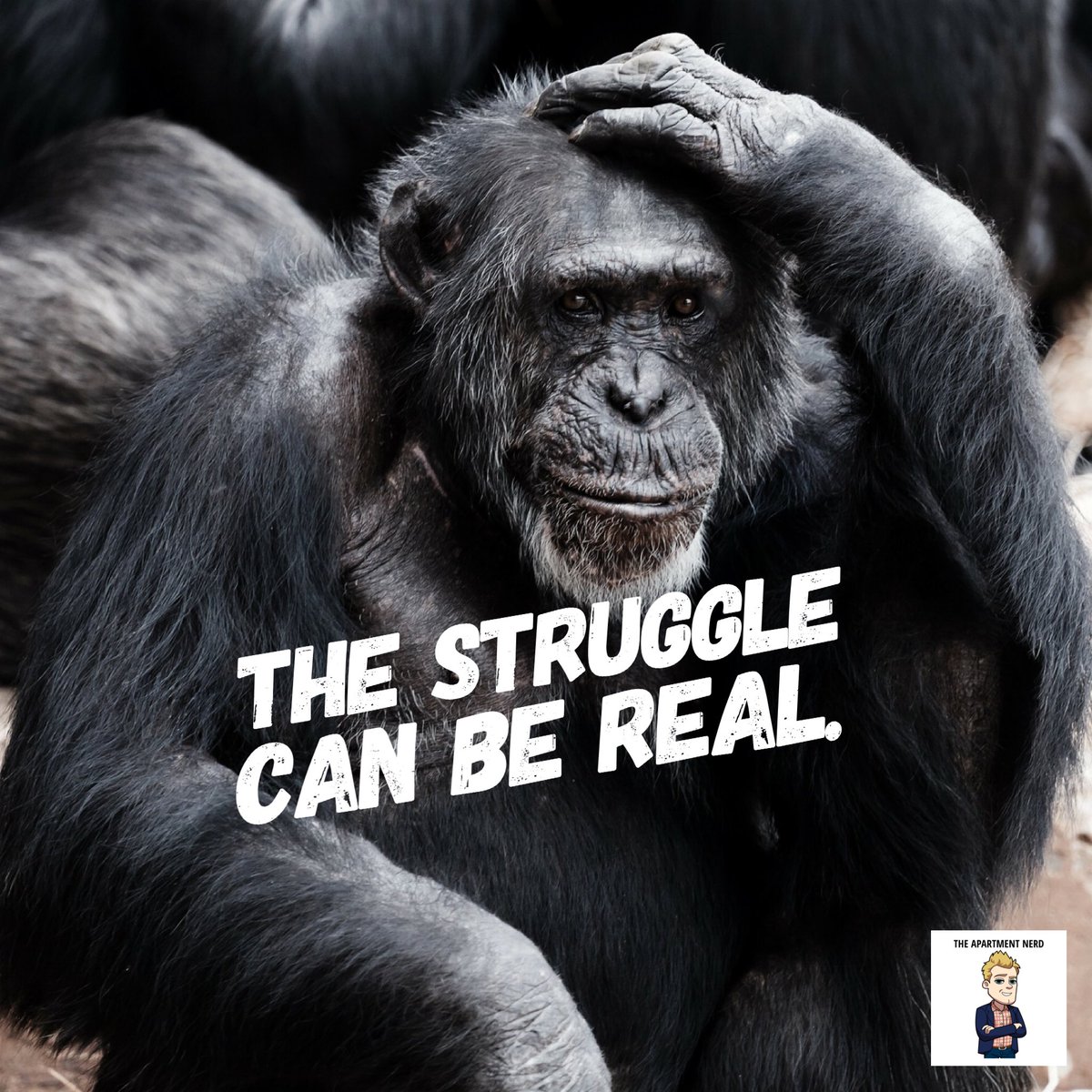 Your thoughts on price could be holding you back. #LeasingShow anchor.fm/the-apartment-…