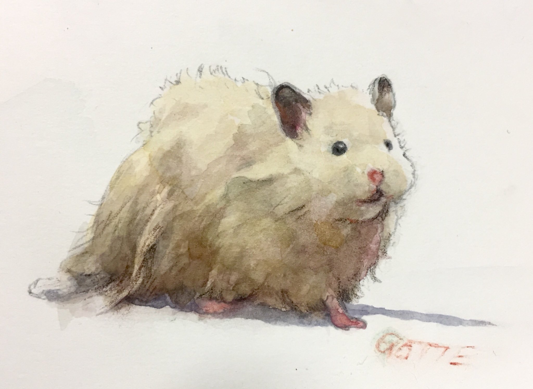 Gotte Hamsterpainter Na Twitteru お散歩助六 イラスト チャコール 水彩画 デッサン ハムスター キンクマハムスター キンクマ Hamster Illustrate Illust Art Drawing Gotte Hamsterpainter Na Twitteru お散歩助六 イラスト チャコール 水彩画 デッサン ハムスター キンクマハムスター キンクマ Hamster Illustrate Illust Art Drawing
