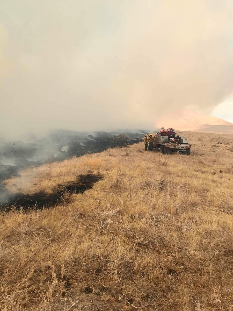 Oguri_cap_luvr's tweet photo. A couple more yesterday at the #Milepost90Fire. We pulled out from this area shortly after due to extreme fire behavior. #WaWildfire https://t.co/w0Gwa2yUcS