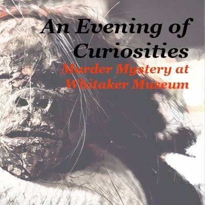 murdmystprod's tweet image. We had a right blast @WhitakerMuseum with the #shrunkenhead and an #originalscript. We are back at this venue soon so keep your eyes peeled detectives! #murdermystery #rossendale #detectives #eventnight #death #murder #museumsatnight