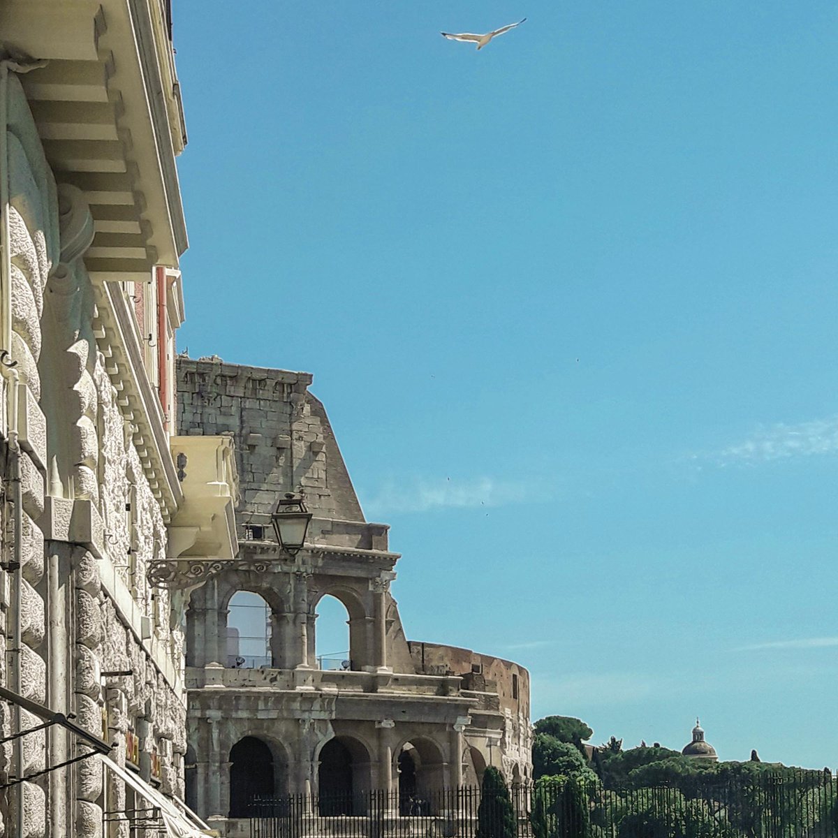 SeeRomeWithMe's tweet photo. "Touch of Colosseum". Find the intruder #rome #Italy #italytravel #colosseum #theprettycities #romeprivatetour #rometourguide https://t.co/MKBWBXtXiW