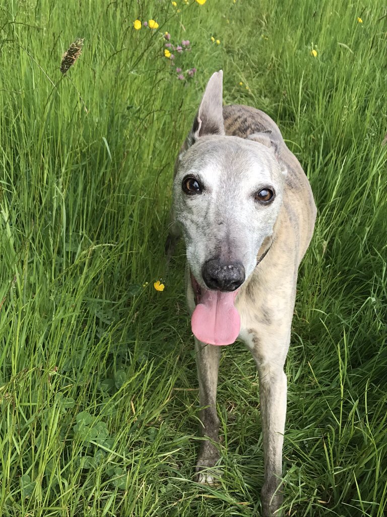 Athena HR tweet media