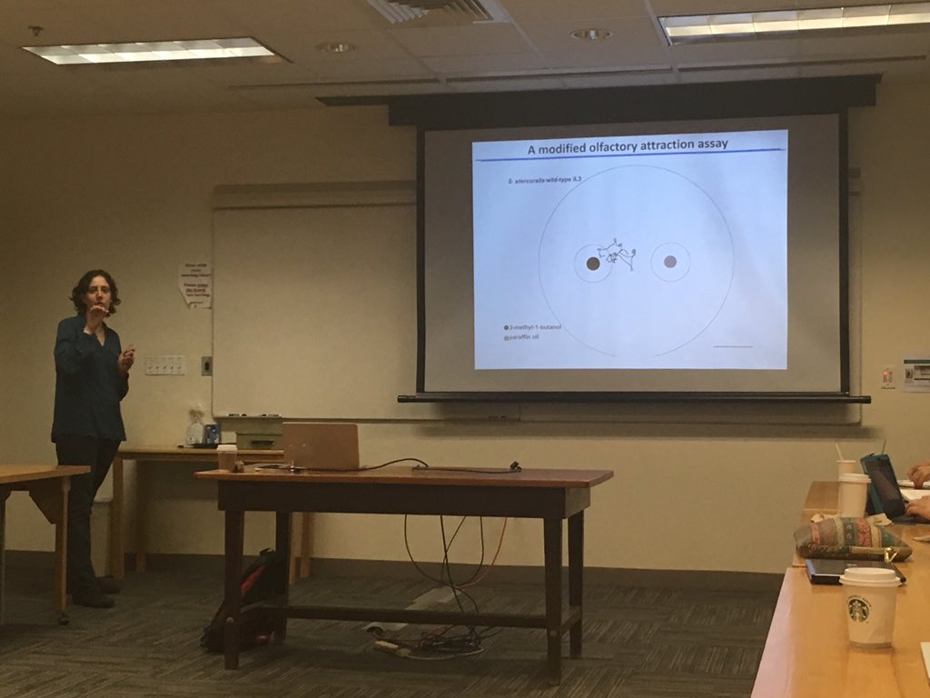 MBLBoP's tweet photo. Melissa Hallem discussing interesting #nematode host-seeking behaviour via olfactory cues #BoP2018 #wormtime #parasitology https://t.co/hwkxWAfD7y