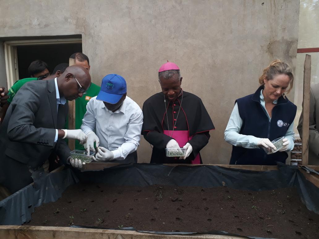 The <a href="/USAIDRwanda/">USAID Rwanda</a> launches a partnership with <a href="/INES_Ruhengeri/">INES</a> to increase quantity and quality of #potato vitro plants and mini tubers. <a href="/Cipotato/">International Potato Center</a> <a href="/RwandaAgri/">Ministry of Agriculture & Animal Resources |Rwanda</a> <a href="/spf_ikigega/">SPF-Ikigega</a> <a href="/Ag_economist/">Kirimi Sindi</a>