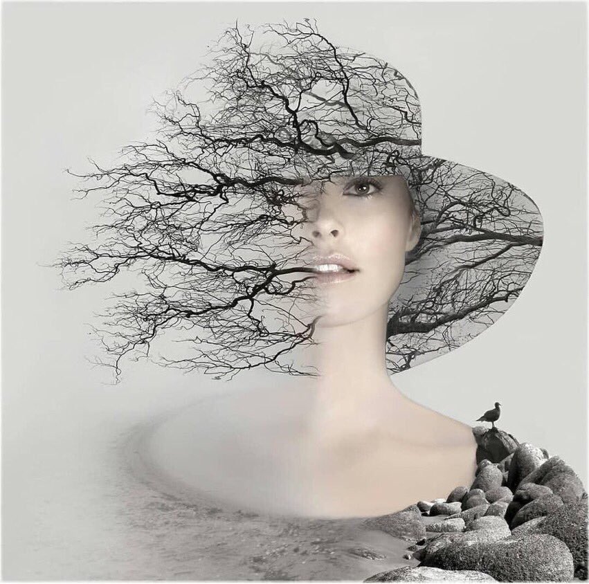 أحيانًا تكون نوايانا أطهر من قطرات الندى وأنقى من حبّات المطر ... لكنّها سرعان ما تتلوّث بسوء ظنّ الآخرين الذي يقتل كلّ جميلٍ فينا.

.

.🕊💞