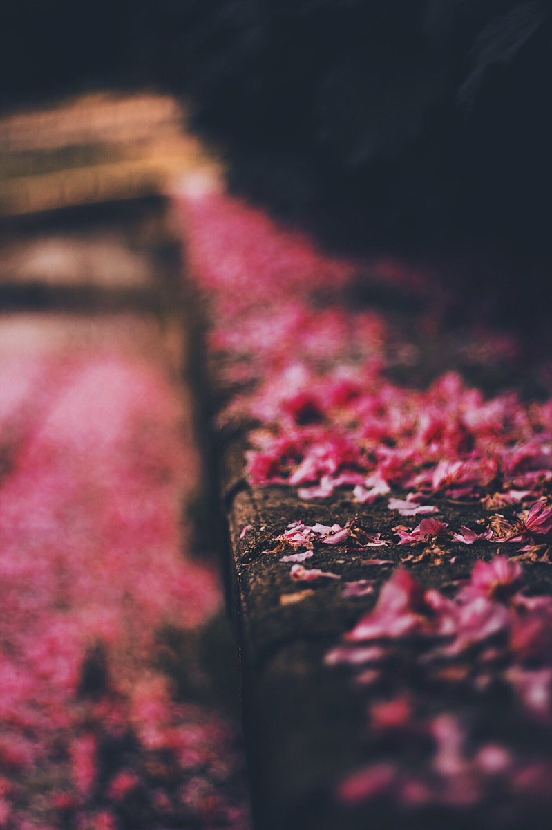 1421_Project's tweet photo. [Pls RT🙏@WinThaiFictions]

[SF] : hunter  09
(coyoon project)

by 🌻: xxxai 
@ailxxnny 

#COYOON #โค่ยูน 
#CoyoonOnceAYear

🔗 https://t.co/yfWX6EGCVY https://t.co/pjMe2XTEti