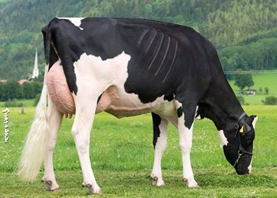 St. Jacobs ABC tweet media