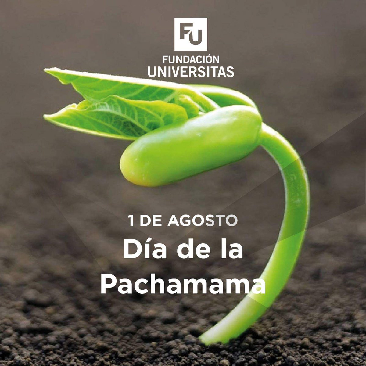 Pachamama o Madre Tierra, es generadora de la vida, símbolo de fecundidad por su capacidad para producir, bendecir y engendrar plantas, animales, alimentos y otros medios de subsistencia del ser humano.
Es adorada por descendientes de pueblos originarios y hoy se celebra su día.