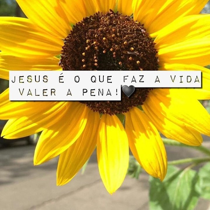 HalidaAlves's tweet photo. https://t.co/pRwGqP7bTL