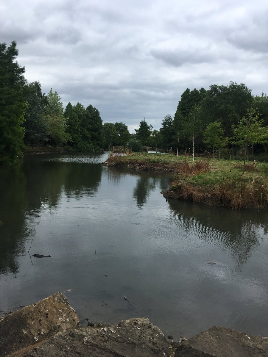 ACTeamWarr's tweet photo. The best part of having meetings at The Village Hotel is the fact I get to do the walk around the lake at lunchtime 🚶🏻‍♀️🦆🐞🐝💐🍃#HealthandWellbeing #Active #CentrePark #Warrington https://t.co/QIPwlWp4Yr