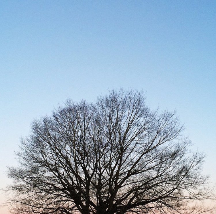 timeshel's tweet photo. Quiet, still moments are the best ones. Photo by @breannemarie #timeshel #moments #photos #photography #rememberwell https://t.co/ywVdoZex3z