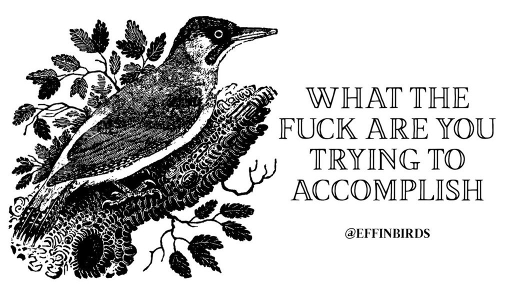 EffinBirds's tweet photo. https://t.co/KB9j9wYs9M
