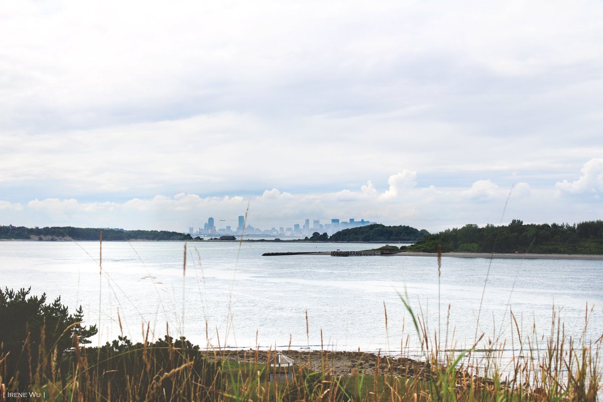 Boston Harbor Now tweet media