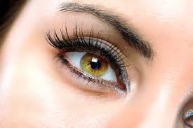 2019Eye's tweet photo. 4th International Conference On Eye and Vision 2019 at  London, UK on 6-7 June 2019
visit our website-https://t.co/z5Vng3zBSm
 #visionscience #visiontherapies #eyecare #eyetreatments #eyesegment # https://t.co/ZvUi88e26n