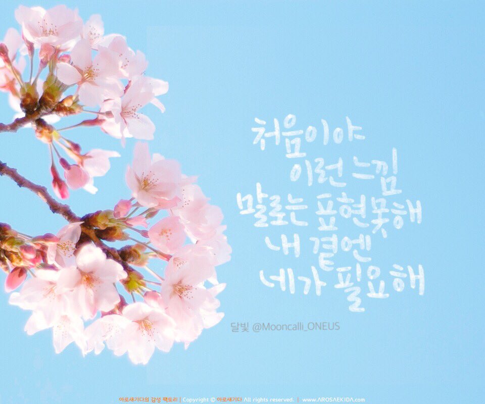 Mooncalli_ONE's tweet photo. [리퀘박스]

처음이야 이런 느낌 말로는 표현 못해 내 곁엔 네가 필요해

ONEUS, English Girl 

#원어스 #ONEUS #EnglishGirl #RBW #달빛캘리 https://t.co/HAfykjazAU