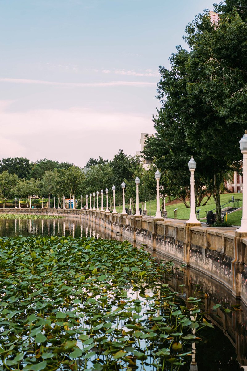 LkldPhoto's tweet image. In the heart of #Lakeland one can find neoclassical architecture, modeled after Chicago World’s Fair, skirting Lake Mirror in downtown. As National Geographic wrote about the area &quot;Like an ornate entrance to some vast Venetian palace looms the Civic Center of Lakeland&quot; #LkldPhoto