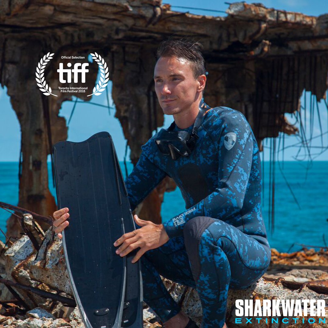 We are so thrilled to officially announce that Rob Stewart's highly anticipated movie #SharkwaterExtinction will celebrate its prestigious world premiere at #TIFF18 this September! 🦈🎬🎥🎞️ <a href="/TIFF_NET/">TIFF</a> #RobStewart