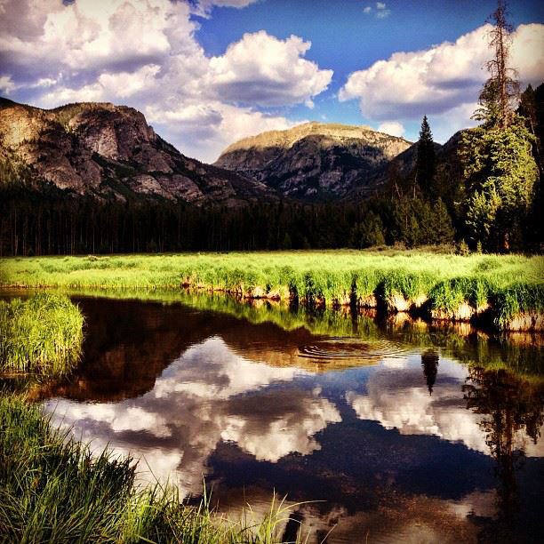 Happy Birthday Colorado, We Love You! #ColoradoDay #38thState #LockeandCo #aspenagedrye #ColorfulColorado