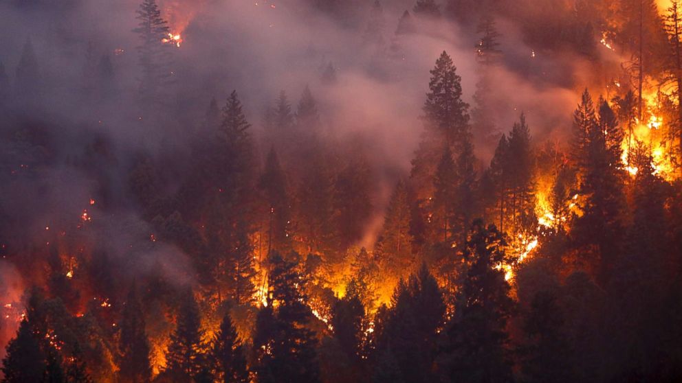 Perfect_Pools's tweet image. The fires in California have been absolutely devestating. Our thoughts and prayers go out to everyone affected by the fires. We offer our most heartfelt condolences. #CarrFire #WhalebackFire #CornerFire 🏊‍♀️🏊‍♂️ #swimmingpoolrepair #weeklypoolservice #ThankYouFireFighters