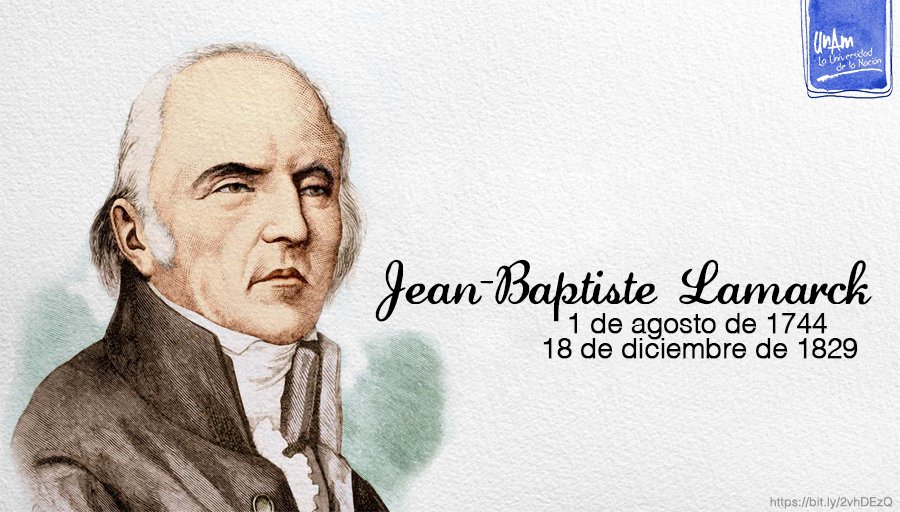 UNAM_MX's tweet photo. #UnDíaComoHoy de 1744 nació Jean-Baptiste Lamarck, creador de la primera teoría sobre la evolución de los seres vivos. https://t.co/dyFs2O8v59
