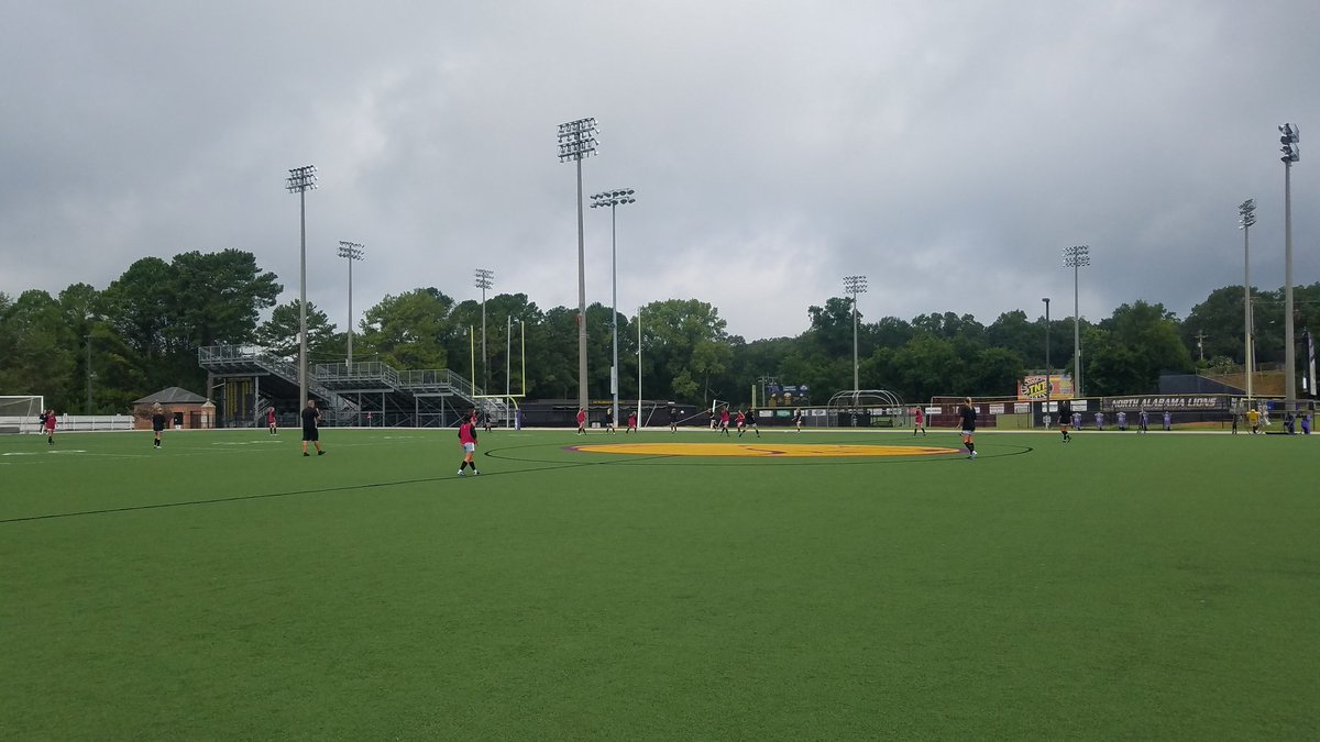 Lion Vision tweet media