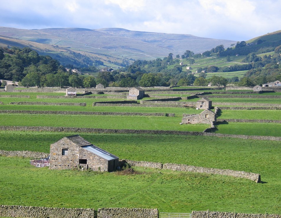 dalesarch's tweet photo. #FieldBarns (or cow'uses in #Swaledale) are such iconic features in the #YorkshireDales...we do have a lot of them. This pattern of barns and #DryStoneWalls are situated near Gunnerside #TraditionalFarmBuildings #heritage #YorkshireDay https://t.co/D0wIG2cWHS