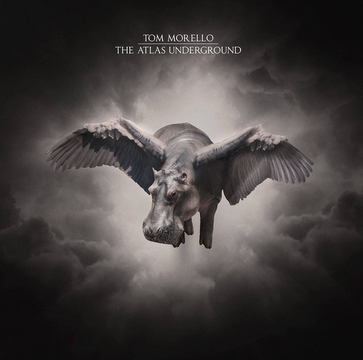 New LP from @tmorello on the way! Battle Sirens included 🔥 youtu.be/3B5IGjqGMSc https://t.co/uuoVrf0O3Q