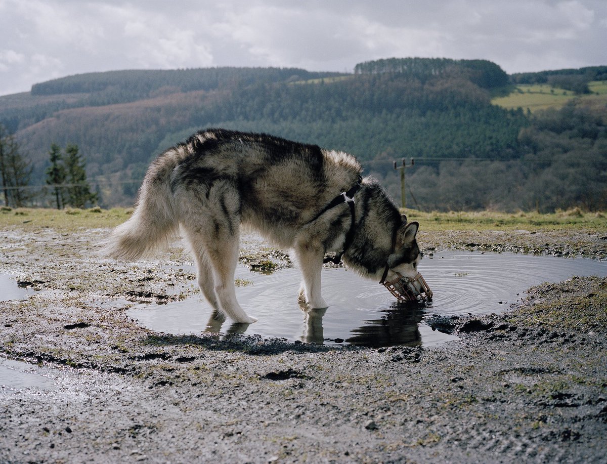 ellmac's tweet photo. Leaving Glasgow for Cardiff for the preview of Ffotoview at @ffotogallery tomorrow. So excited to be showing work from my project Land of My Father alongside some amazing Welsh photographers. Looking forward to my accent embracing its traditional Scottish/Welsh confusion hybrid. https://t.co/BOWdICD5ji