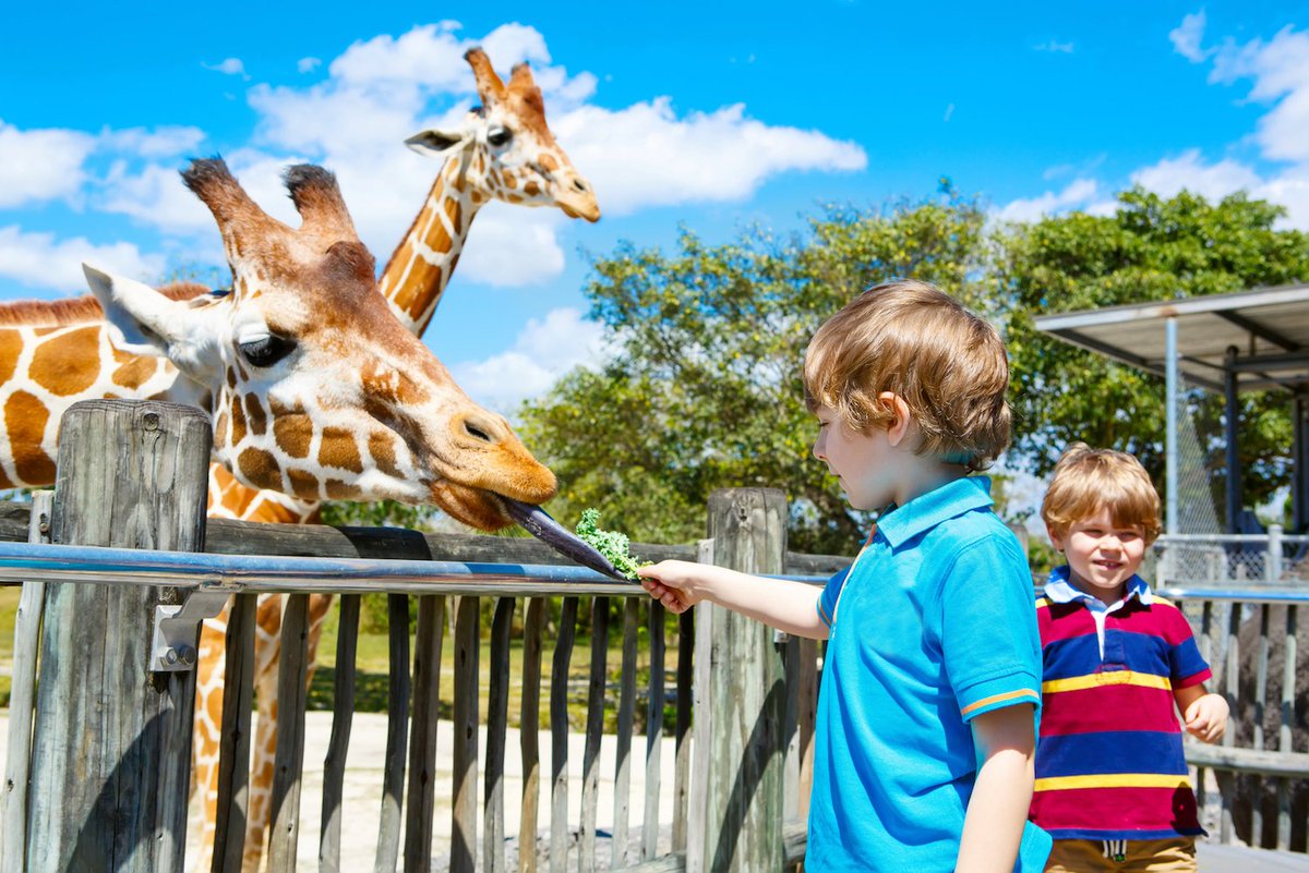 DOWTKPress's tweet photo. We've unlocked unmissable savings for families looking to do more this summer, but we're looking for local businesses to help support our mission to get more families to visit Staffs: https://t.co/pCmstoIoDX

@NewsEdRobA @Sotlive @a_redfern @StaffsNews @EnjoyStaffs @LovingStaffs https://t.co/XIPhrRyS0N