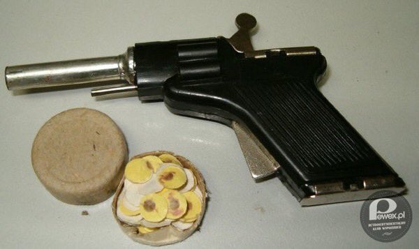 pambocek's tweet image. Kto strzelał? 😉