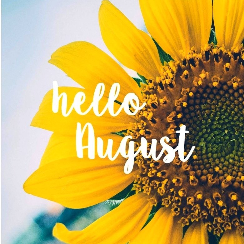 realcharmin1's tweet image. I manifest that my discipline, desires and direction will change and lead me towards God's plan for me!!  #ordermystepslord