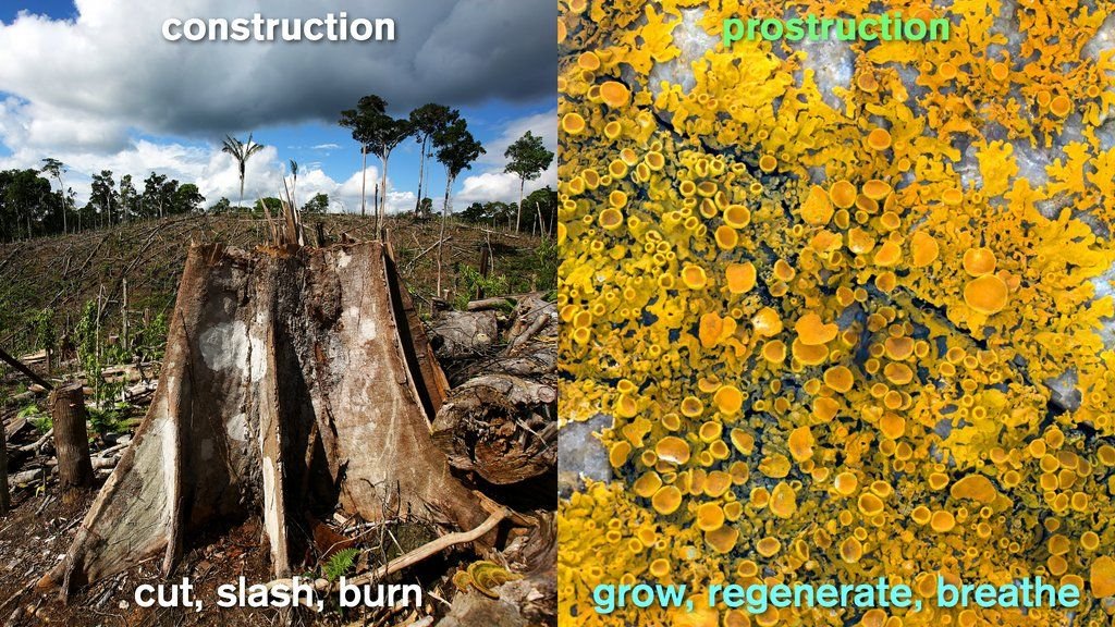 Eric Corey Freed tweet media