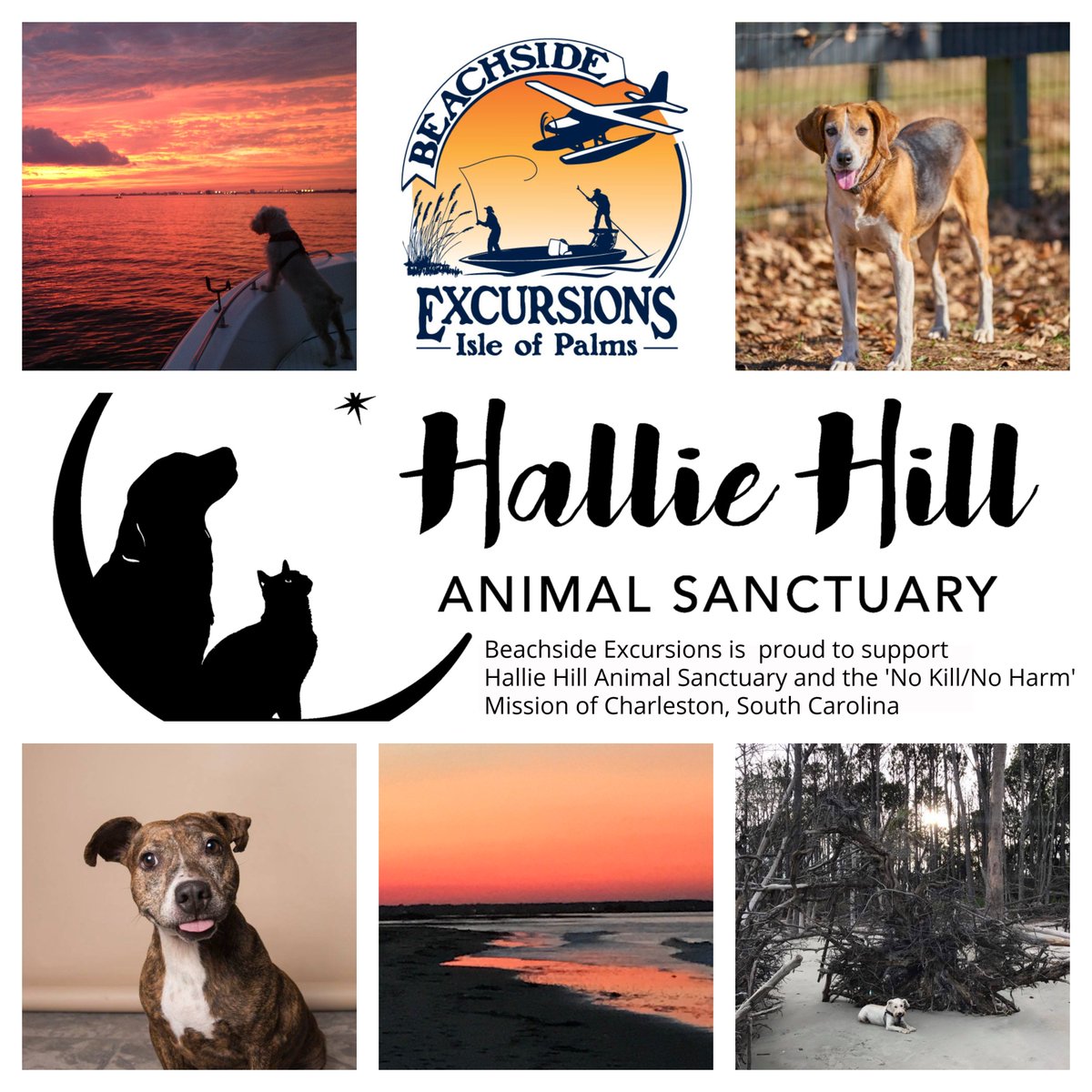 Beachside Excursions of Isle of Palms tweet media