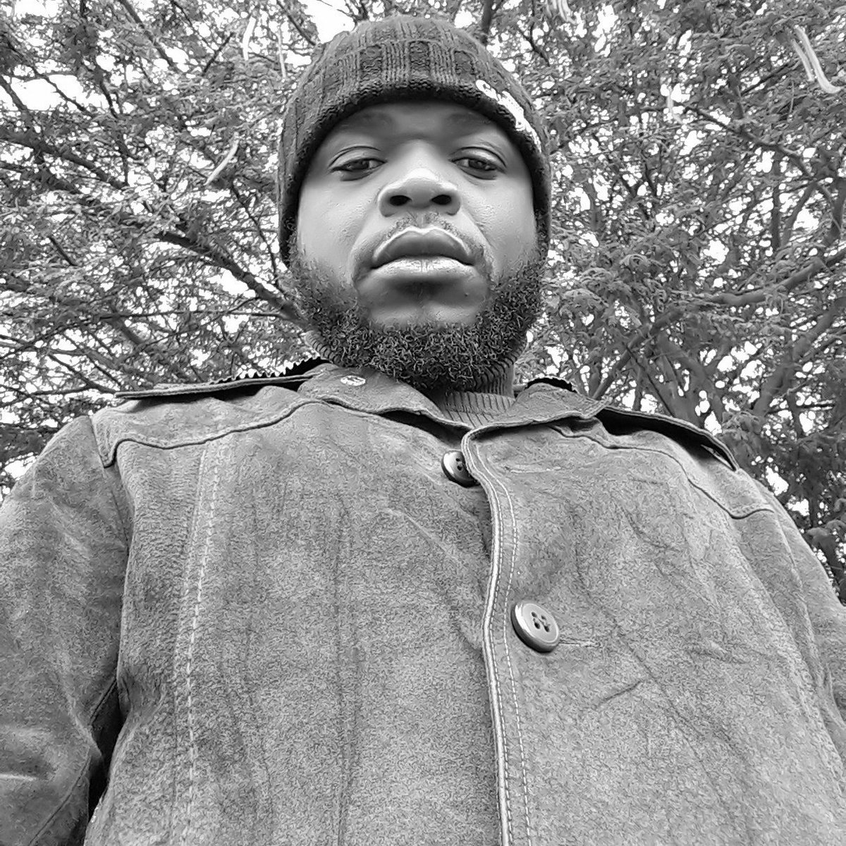 Peippy Mozart tweet media