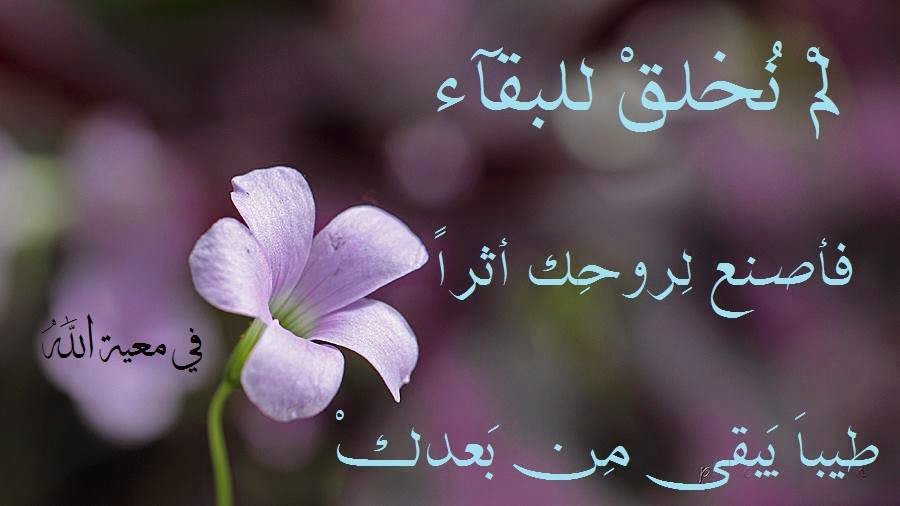 ﻻ‌ﺷَﻲﺀ ﺃﺟﻤَﻞُ ﻣِﻦ ﻗُﻮﻝْ ﺍﻟﺤَﻤﺪُﻟﻠﻪ , ﺗَﻬﺒﻚَ ﺭَﺍﺣَﺔ ﻭَ ﺗَﺰﻳﺪُﻙَ ﺧﻴﺮﺍً ..💚💚