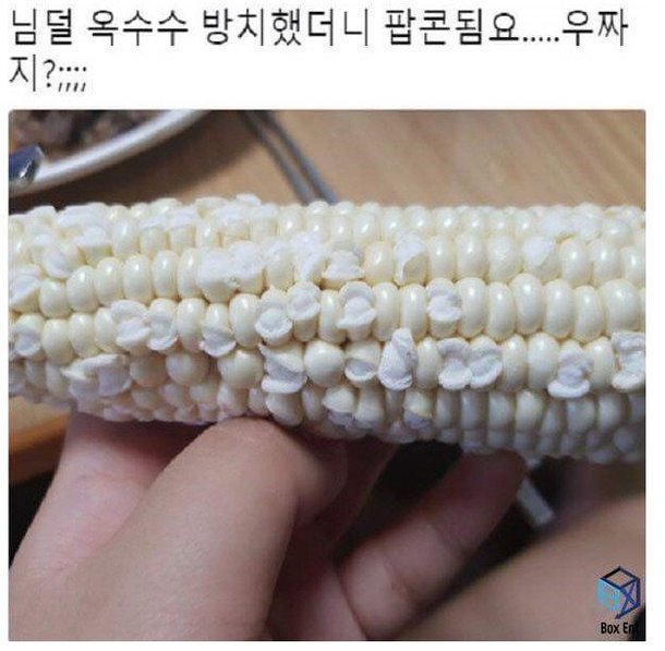My Image 33