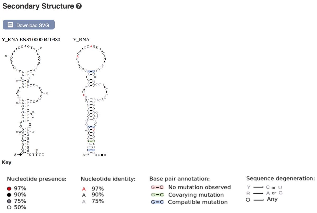 Ensembl tweet media