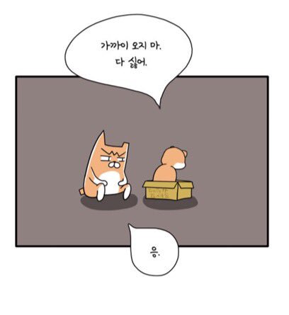 불쌍이, 배 안고파요?
주식회사 냐옹컴퍼니 - 148화 - 딸기 치즈 케이크
https://t.co/QPC0TWri9m 
