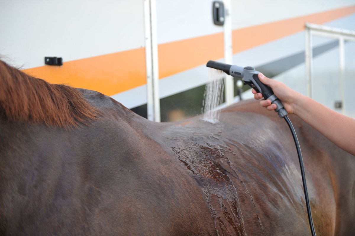 **Portable Electric Horse Shower** head to equineplus.co.uk to order yours now with FREE UK DELIVERY. <a href="/EquineHour/">#EquineHour</a> #portableshower #coolandclean #equestrian #washer