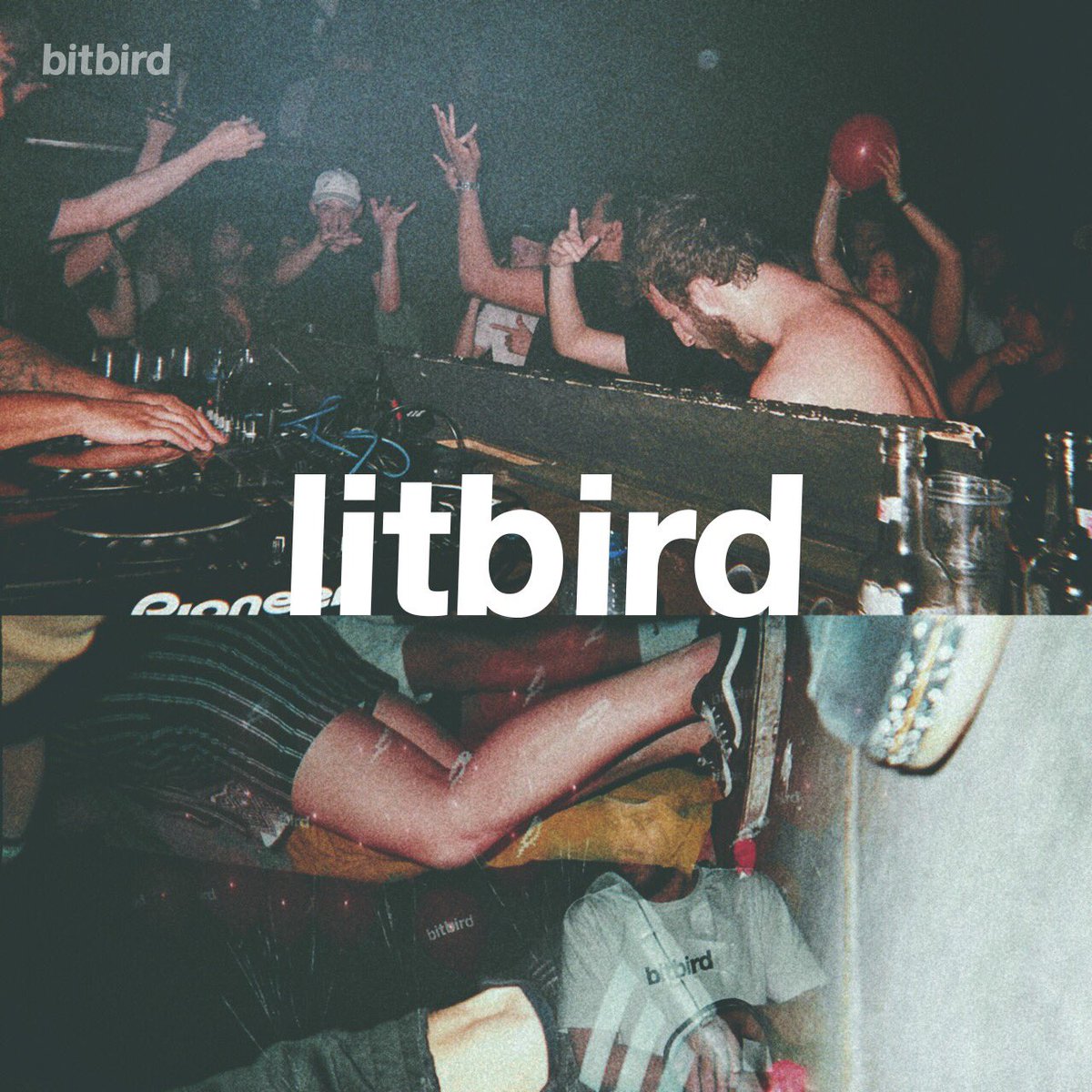 bitbird's tweet photo. A new month and a new update to our #chillbird and #litbird playlists πΆ
checkout the new picks: https://t.co/AuoxNJt4j1 https://t.co/ORRE4WmvTg