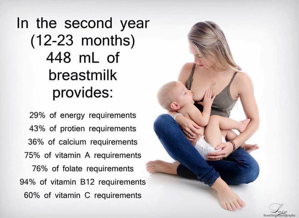 breastfeeding after 1 year