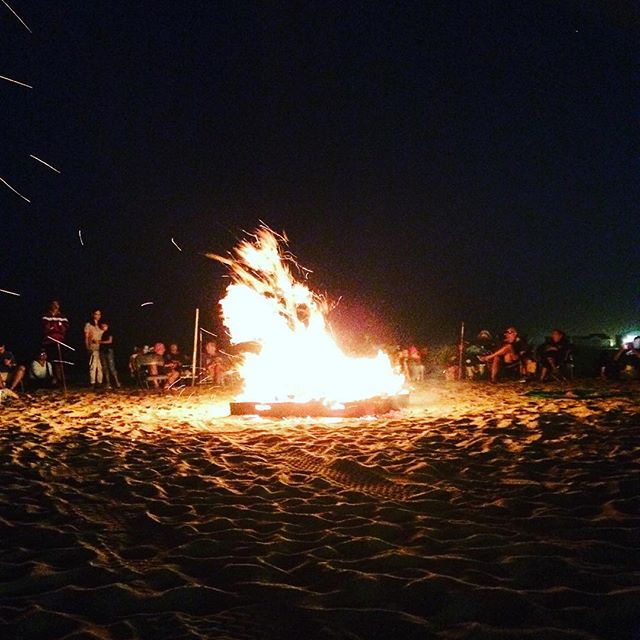 Berkeley Oceanfront tweet media