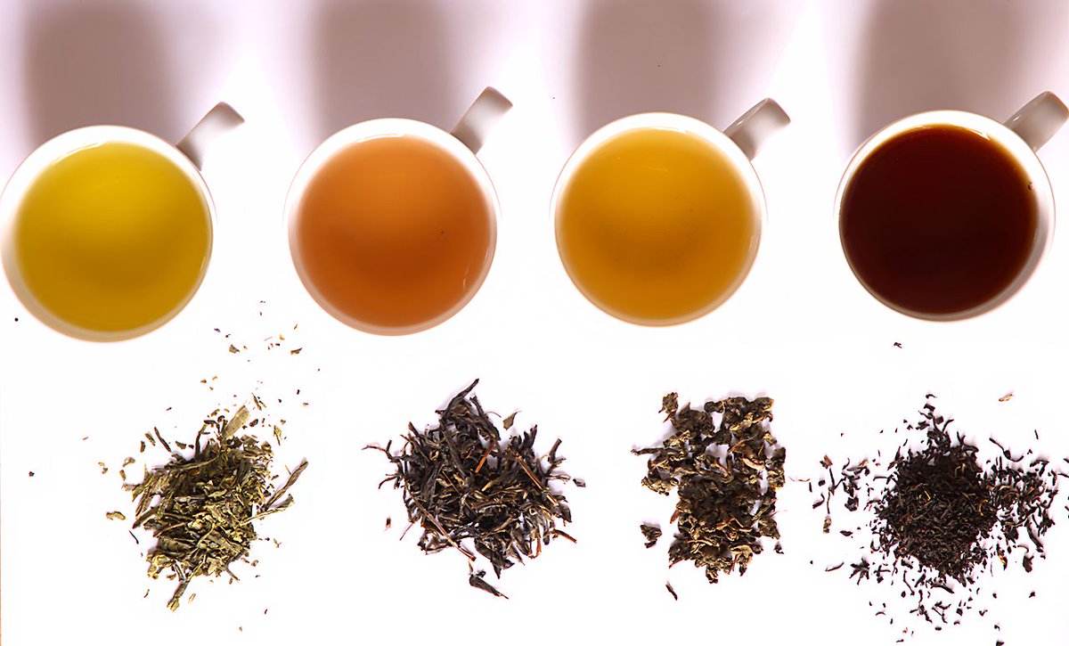 annuairevert's tweet photo. [ARTICLE tout chaud 🍵] Thés, infusions et autres tisanes : les boissons aux plantes. La confusion règne parfois, ce qui nécessite un petit décryptage lexical.
https://t.co/ZqGrJLLiar #thé #tisane #Touslesthésnesontpasdesthés https://t.co/xZkvjuBzth